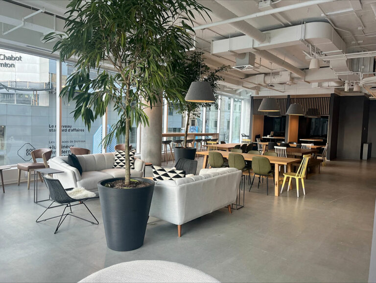 munvo plus montreal office 3