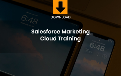SFMC Training download
